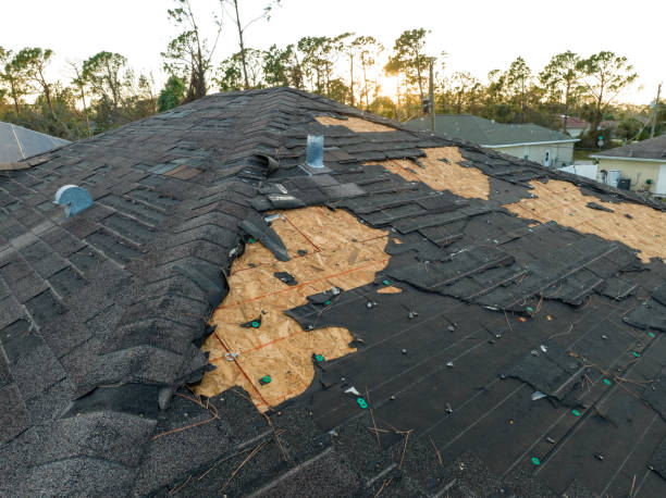 Best Metal Roofing Installation  in Smith Valley, NV