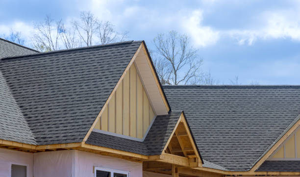 Best Roof Leak Repair  in Smith Valley, NV