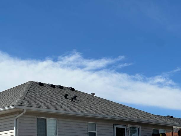 Professional Roofing Service in Smith Valley, NV