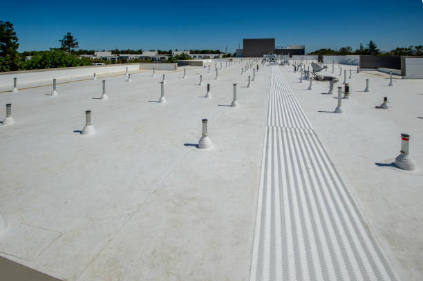 Asphalt Shingles Roofing in Smith Valley, NV